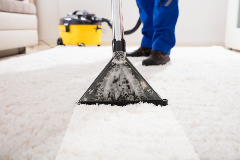 Local Wet Carpet Cleaning pros at work