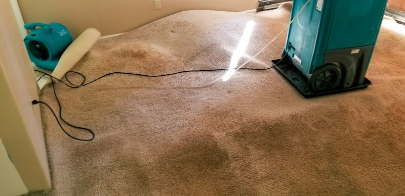 Wet Carpet Cleaning