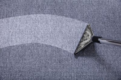 Carpet And Rug Cleaning For Homes With Pets