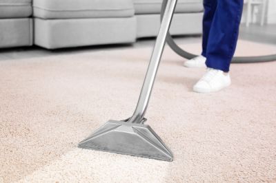 Carpet And Rug Cleaning For Homes With Pets