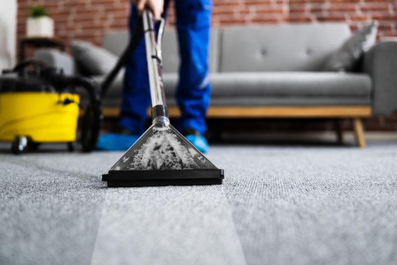 Carpet And Rug Cleaning For Homes With Pets
