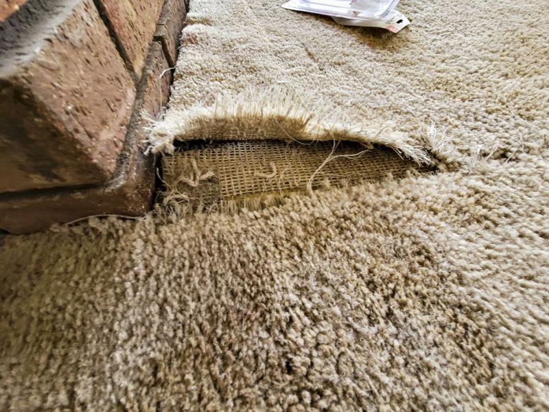 Carpet Burn Repair in Overland Park, KS