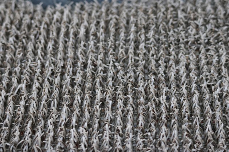 Carpet Cushion Replacement in Denver County, CO