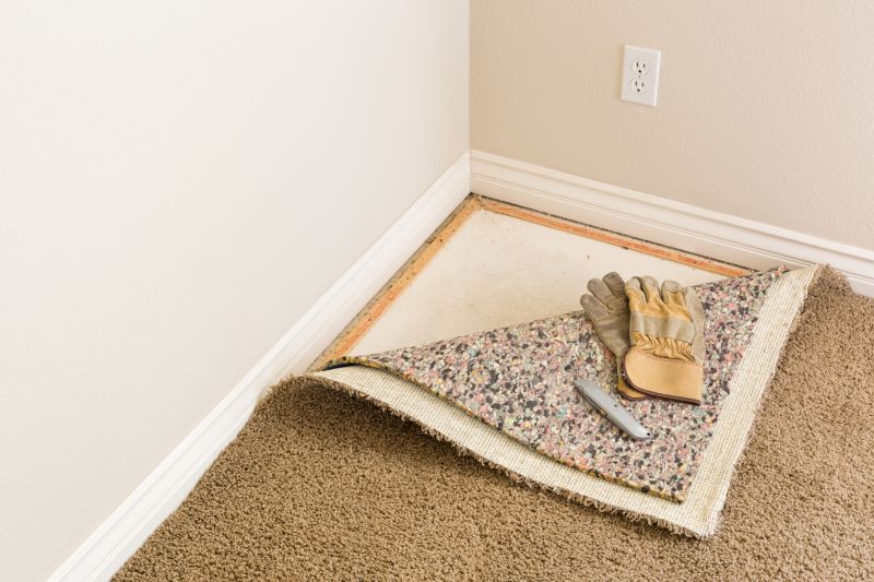 Carpet Foam Replacement in Denver County, CO