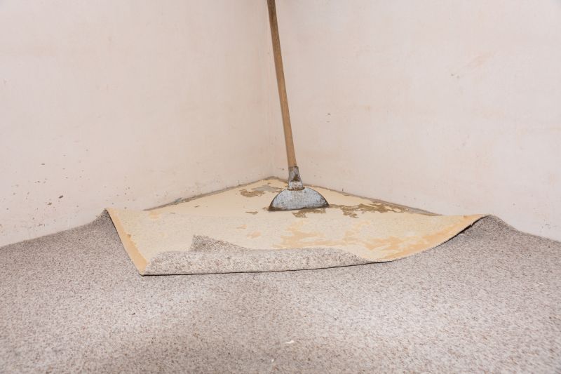Carpet Underlay Replacement in Kansas City, KS