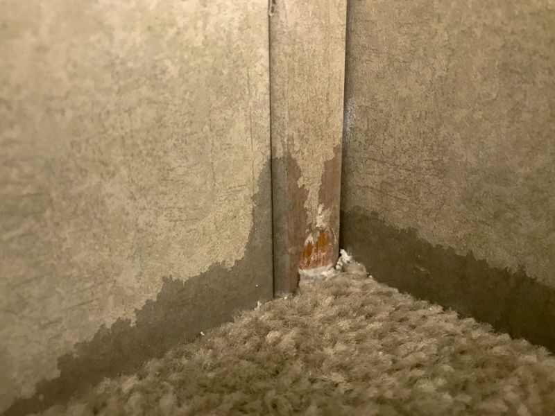 Doorway Carpet Repair in Littleton, CO