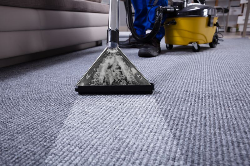 Wet Carpet Cleaning detail