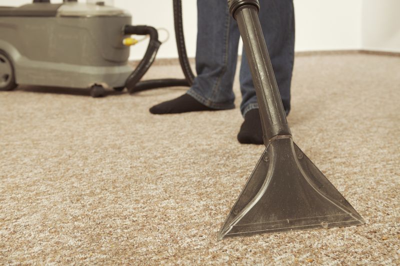Steam Cleaning Vs Dry Carpet Cleaning Explained
