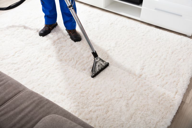 Wet Carpet Cleaning