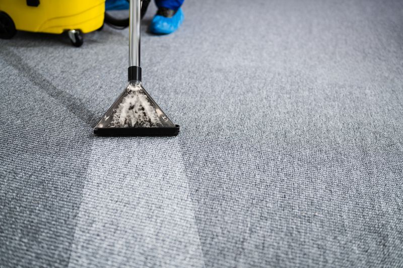Wet Carpet Cleaning