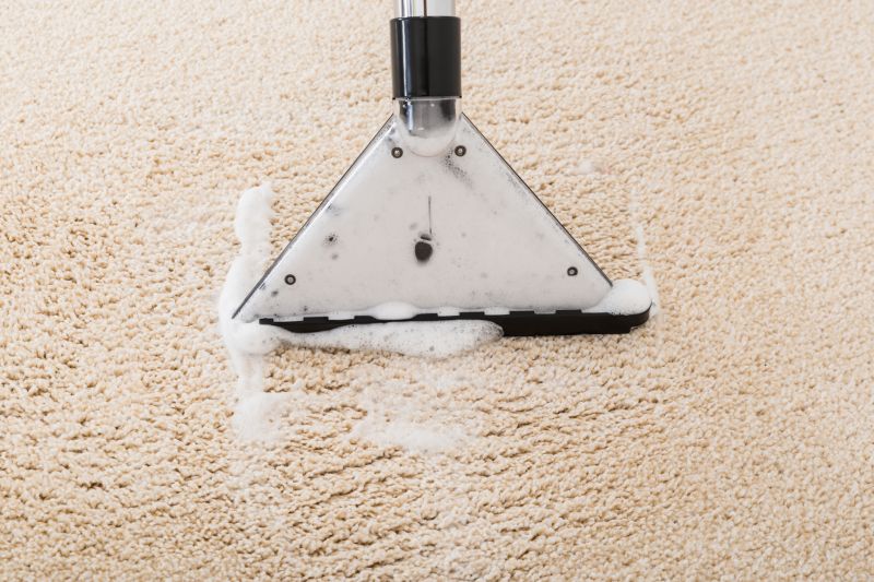 Wet Carpet Cleaning